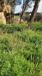 Pins Pádel Club - Bild 7