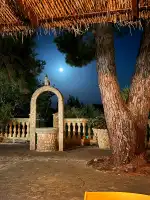 Bosch Rent A Car S.L. - Bild 8