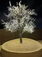 Amok Nightclub - Imagen 2