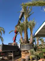 JARDINERIA C'AN PERET - Bild 10