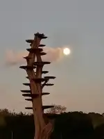 JARDINERIA C'AN PERET - Bild 9