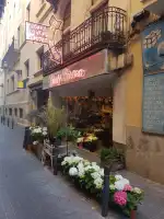 Flores Borneo - Bild 10