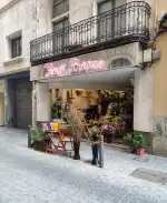 Flores Borneo - Bild 9