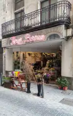 Flores Borneo - Bild 7