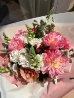 Flores Borneo - Bild 9