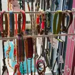 Barf Express - Bild 8