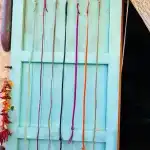 Barf Express - Bild 6