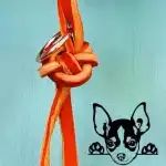 Barf Express - Bild 7