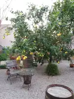 Bodega Sa Vinya - Imagen 10