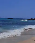 Son Moll Beach Bar - Imagen 8