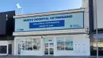 MiVet Hospital Veterinario Veterinaris