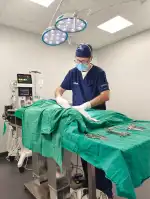 MiVet Hospital Veterinario Veterinaris - Bild 8