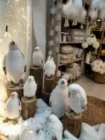 Floristeria Es Brot - Bild 7