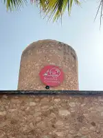 Sushi Campos - Image 4