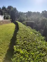 Jardines Costa Florecida - Bild 10