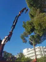 Jardines Costa Florecida - Bild 4