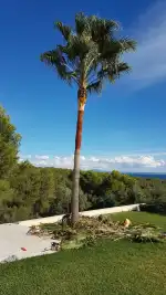 Jardines Costa Florecida - Bild 5