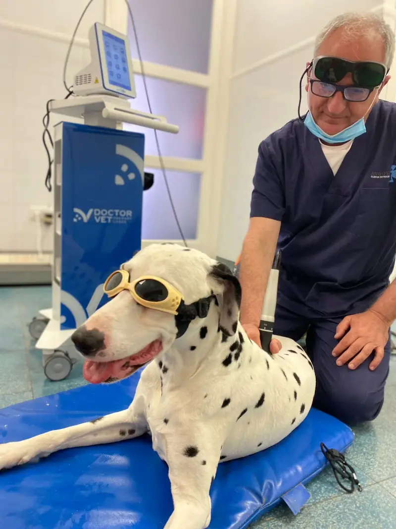 Clínica veterinaria José Angosto - Bild 1