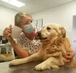 Clínica veterinaria José Angosto - Bild 2