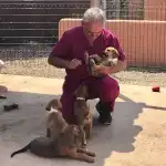 Clínica veterinaria José Angosto - Bild 8