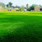 Aperelló jardines - Bild 6