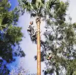 Aperelló jardines - Bild 9