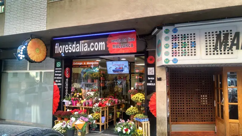 Flores dalia - Bild 1