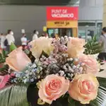 Flores dalia - Bild 2