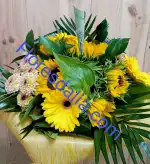 Flores dalia - Bild 10