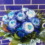 Flores dalia - Bild 9