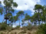 TirolinasGo Mallorca Forestal Park - Imagen 10