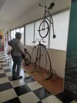 TirolinasGo Mallorca Forestal Park - Imagen 9