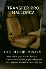 Transfer Pro - Imagen 10