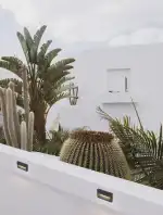 Nils Martello SL   - Bild 9