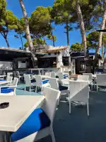 Mosquito Sportbar Cala Ratjada - Imagen 4