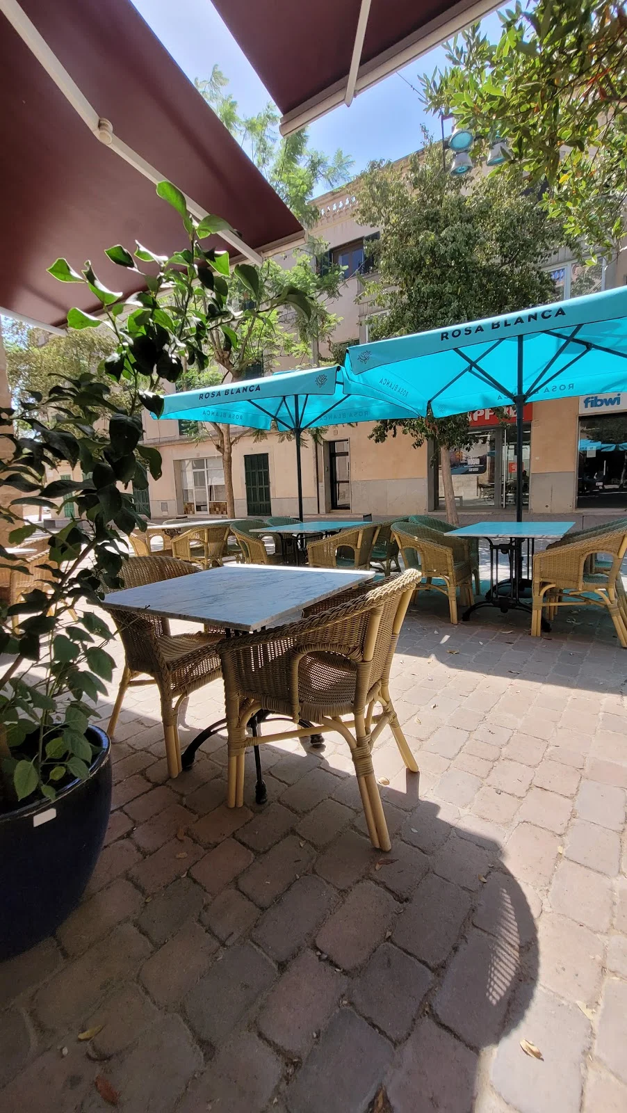 Melampo - Bild 1