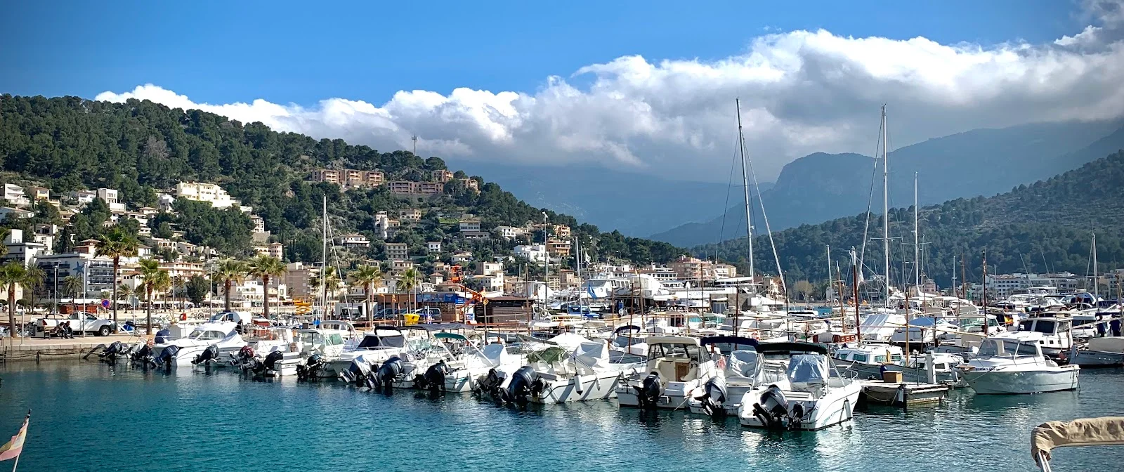 Scuba Divine - Image 1