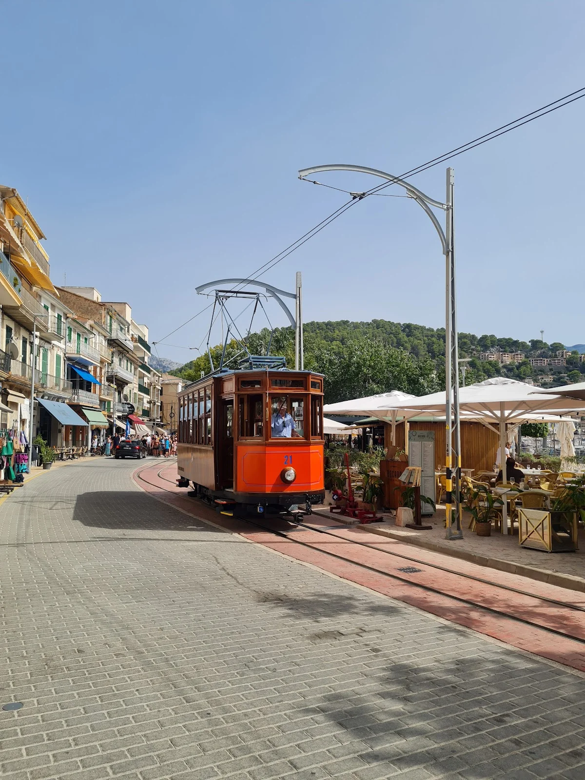 Scuba Divine - Image 5