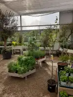 Cocos Garden Multiserveis SL - Bild 6