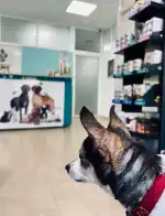 Clínica Veterinaria Huellas - Bild 9