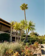 L'Hermitage - Bild 10