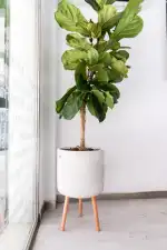 Bufete Frau Lawyers - Bild 5