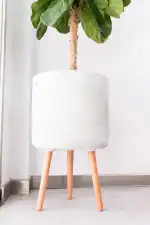 Bufete Frau Lawyers - Bild 6