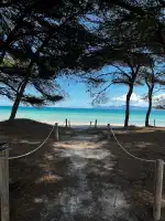 Playa De Los Pinos - Bild 4