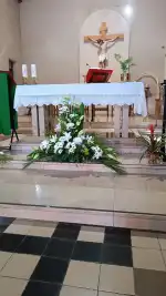 Green and go floristería - Bild 8