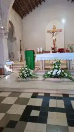 Green and go floristería - Bild 7