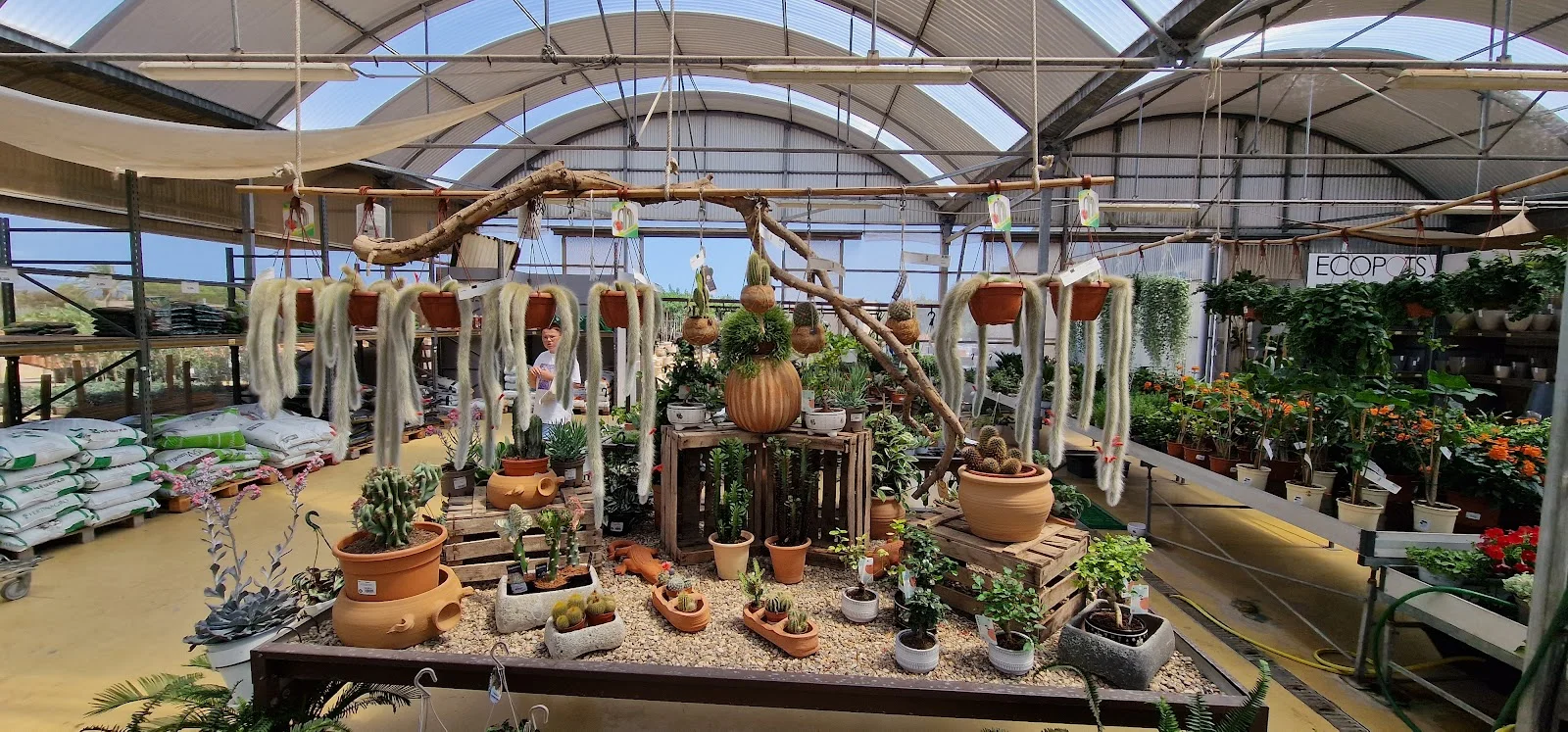 Centre de jardineria Llabrés - Bild 10