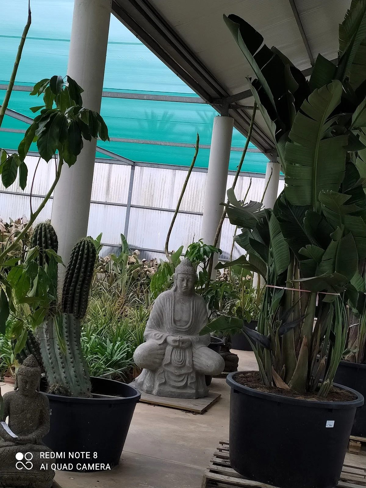 Centre de jardineria Llabrés - Bild 7