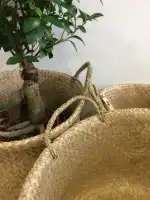 Floristeria Teresa - Bild 7