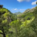 Reserva Park - Imagen 2